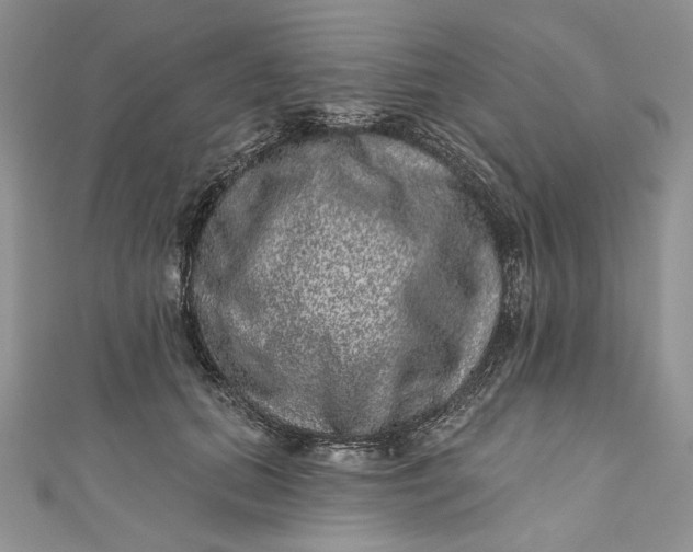 X0000110880655200907021458