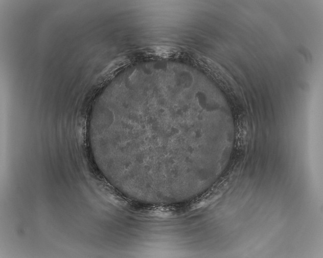 X0000110880656200907021458