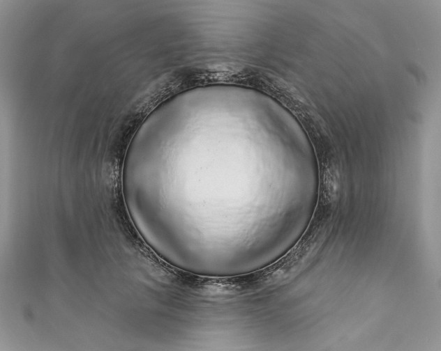 X0000110880657200907021458