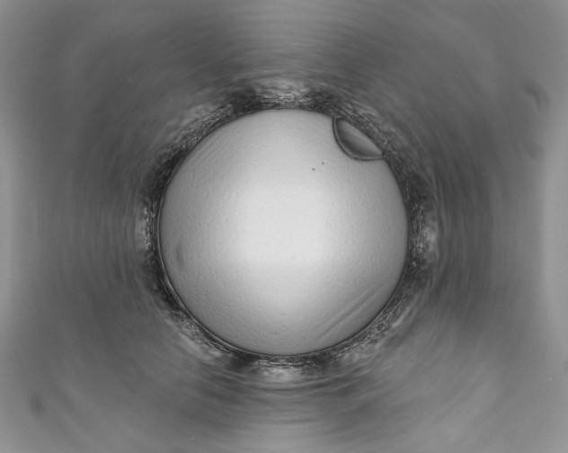 X0000110880658200907021458