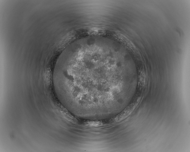 X0000110880659200907021458