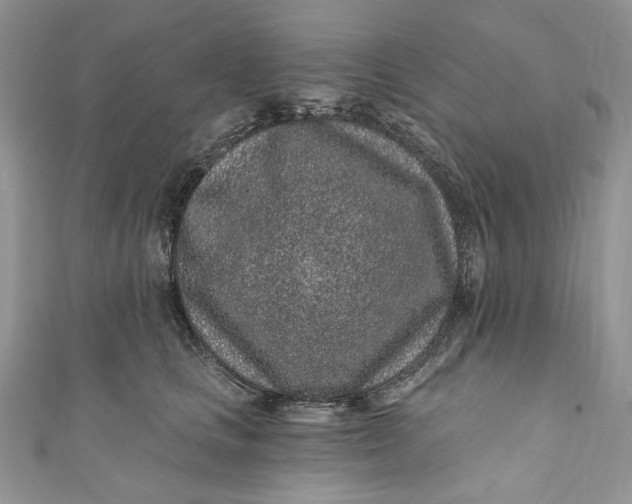 X0000110880661200907021458