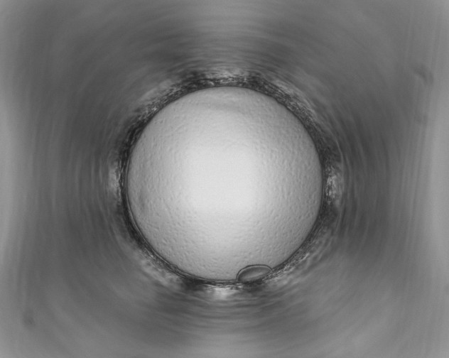 X0000110880662200907021458