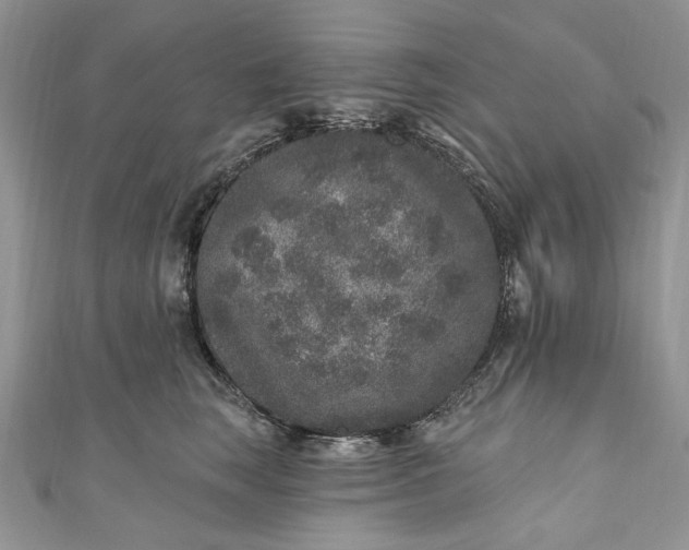 X0000110880663200907021458