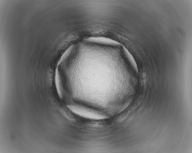 X0000110880664200907021458