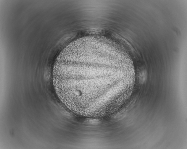 X0000110880665200907021458