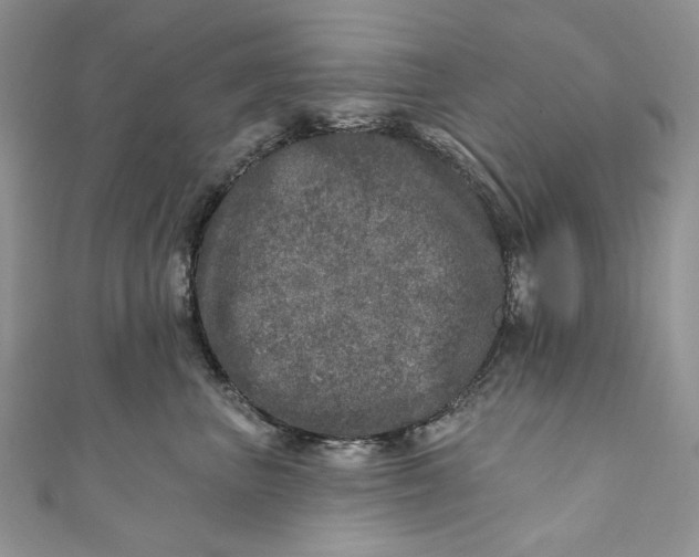 X0000110880667200907021458