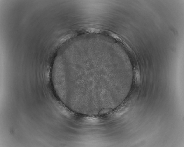 X0000110880668200907021458