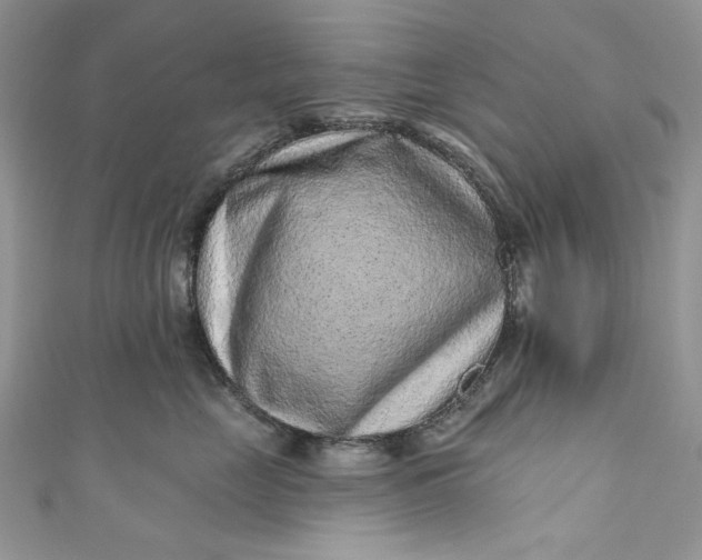 X0000110880669200907021458