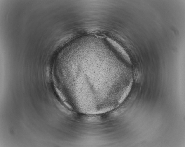 X0000110880670200907021458