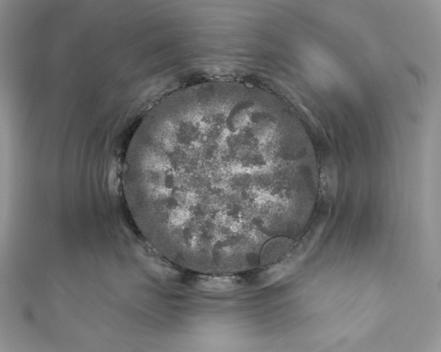 X0000110880671200907021458