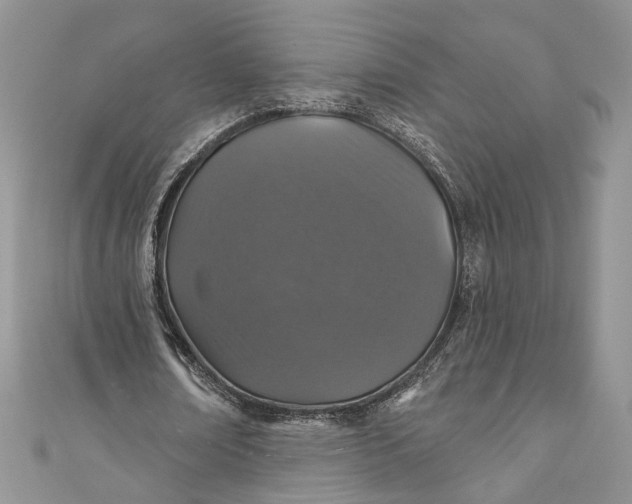 X0000110880674200907021457
