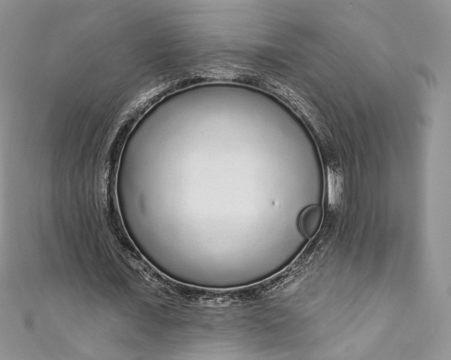 X0000110880675200907021457