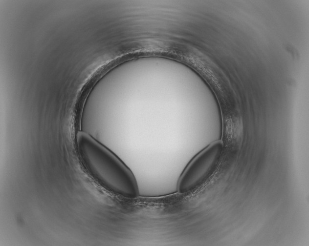 X0000110880676200907021457