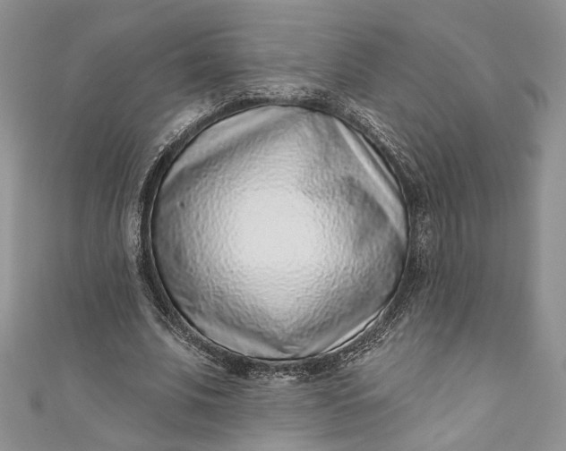 X0000110880679200907021457