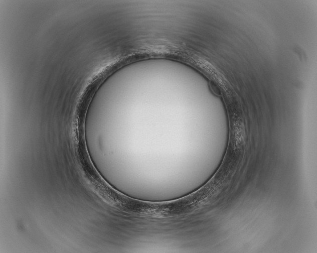 X0000110880680200907021457