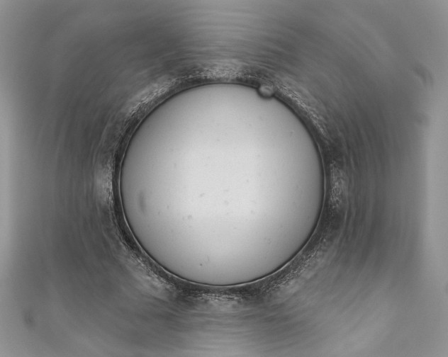 X0000110880681200907021457