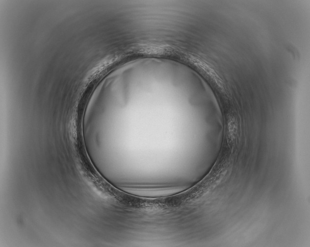 X0000110880682200907021457