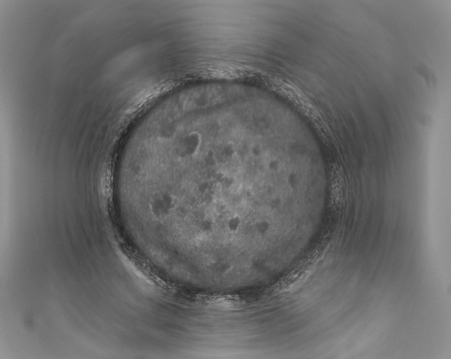 X0000110880683200907021457