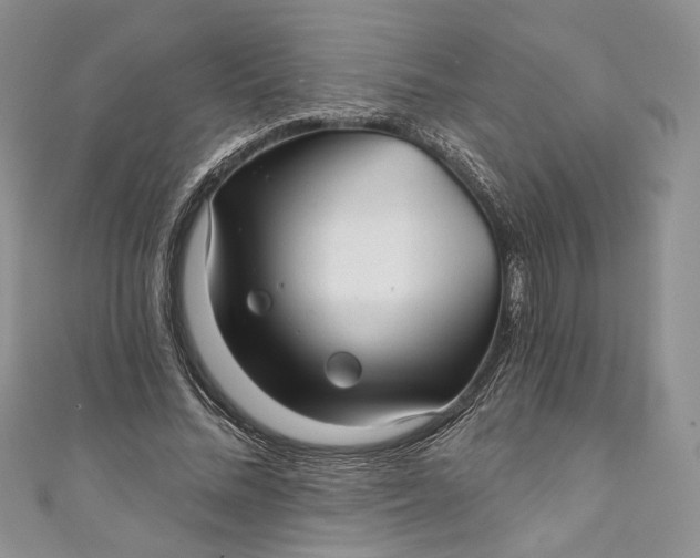 X0000110880684200907021457