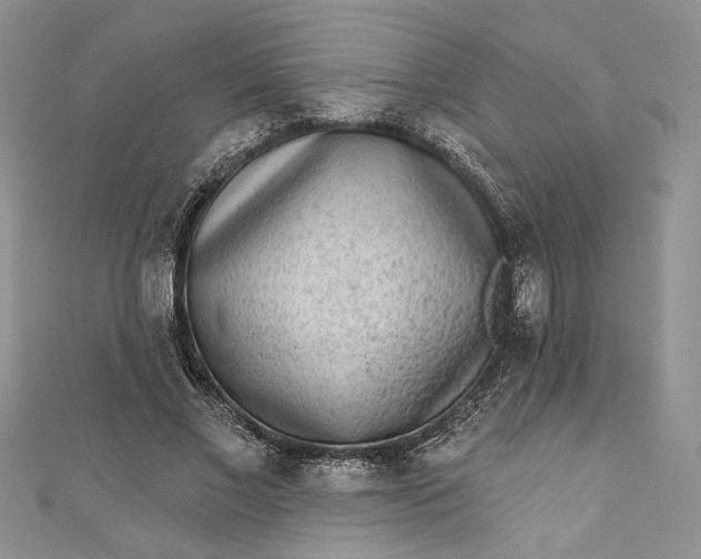 X0000110880685200907021457