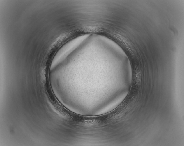 X0000110880686200907021457