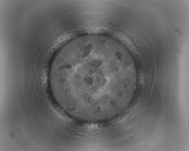 X0000110880687200907021457