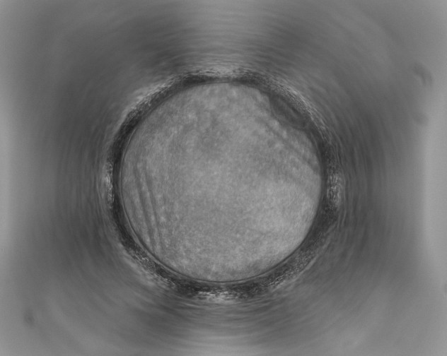 X0000110880688200907021457