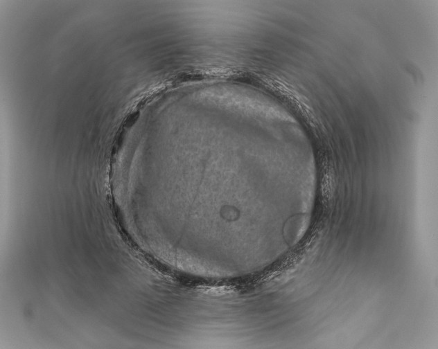 X0000110880689200907021457