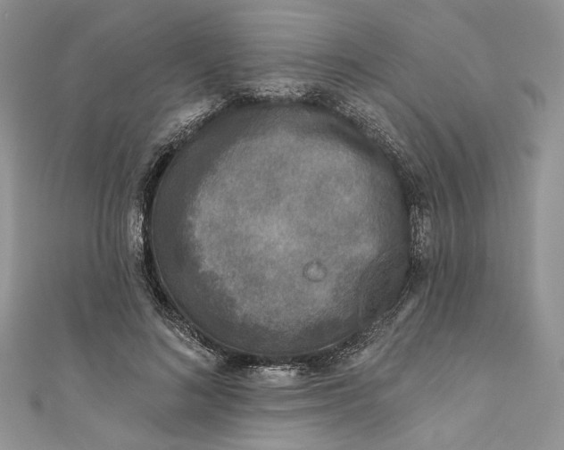 X0000110880692200907021457