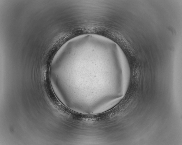 X0000110880694200907021457