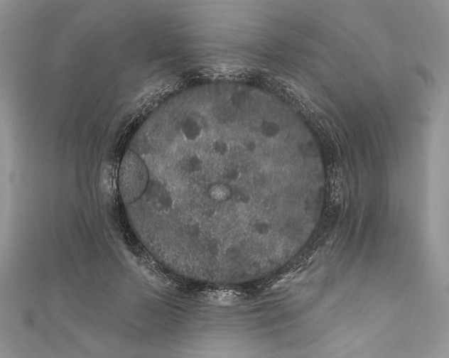 X0000110880695200907021457