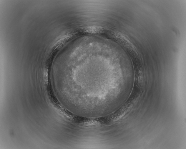 X0000110880696200907021457
