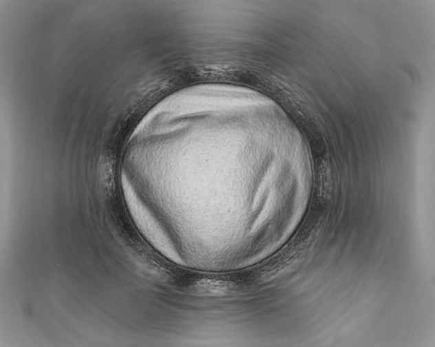 X0000110880699200907021457