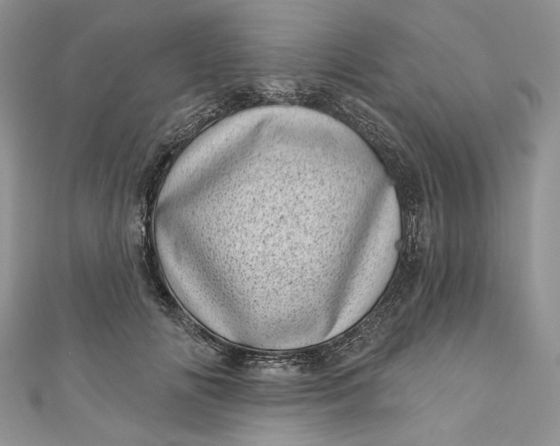 X0000110880702200907021457