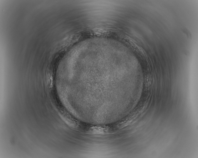 X0000110880703200907021457