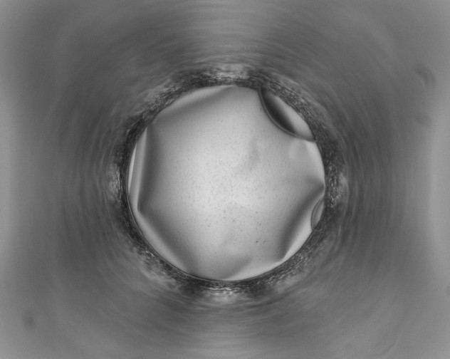 X0000110880704200907021457