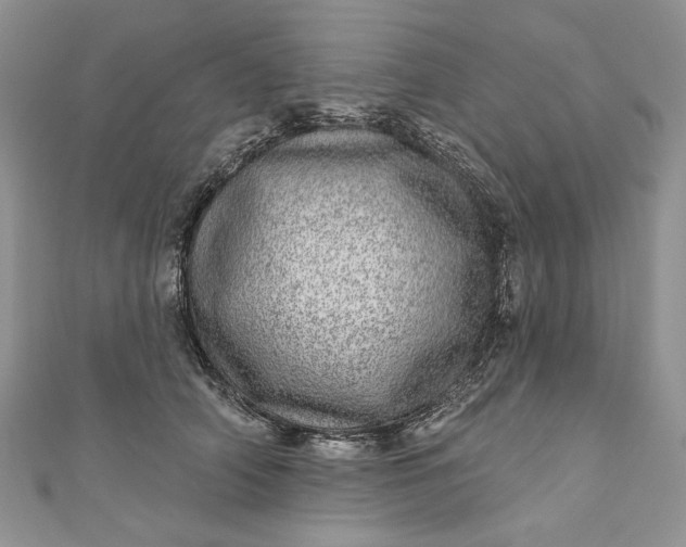 X0000110880706200907021457