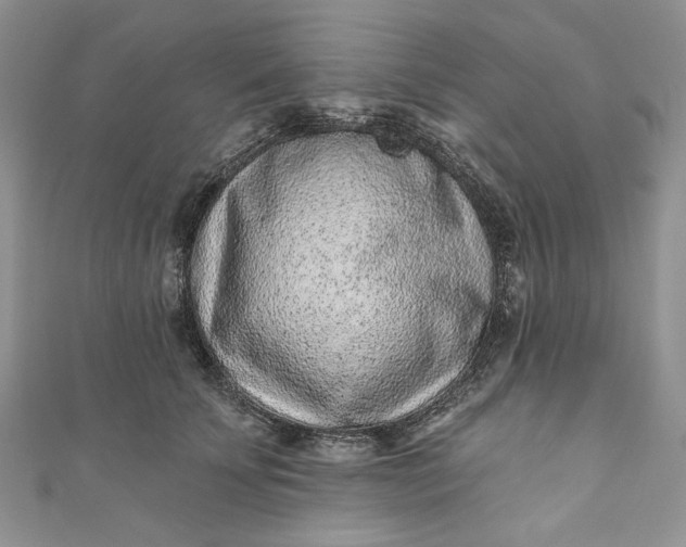 X0000110880707200907021457