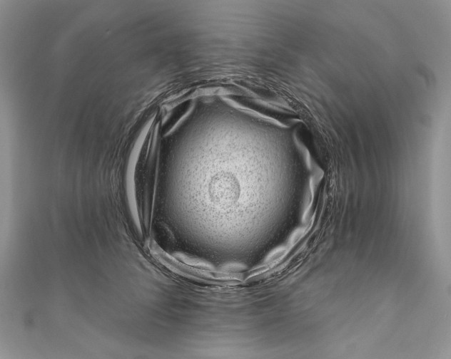 X0000110880708200907021457