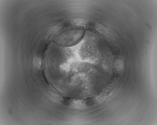 X0000110880709200907021457