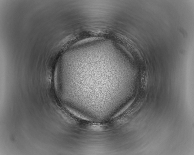X0000110880710200907021457