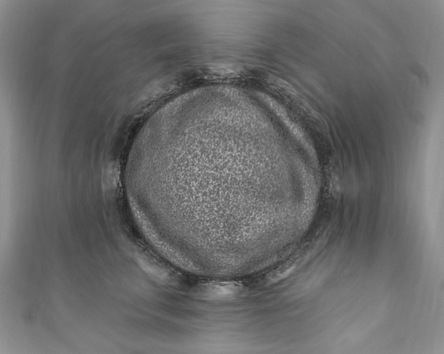 X0000110880711200907021457