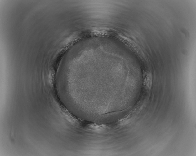 X0000110880712200907021457