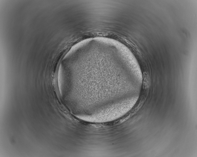 X0000110880713200907021457