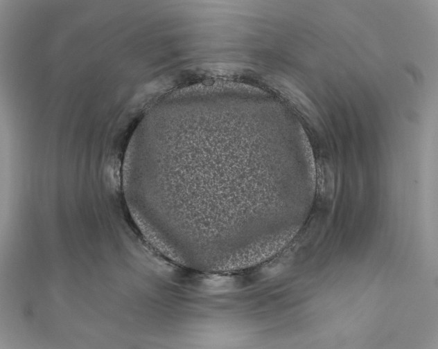X0000110880718200907021457