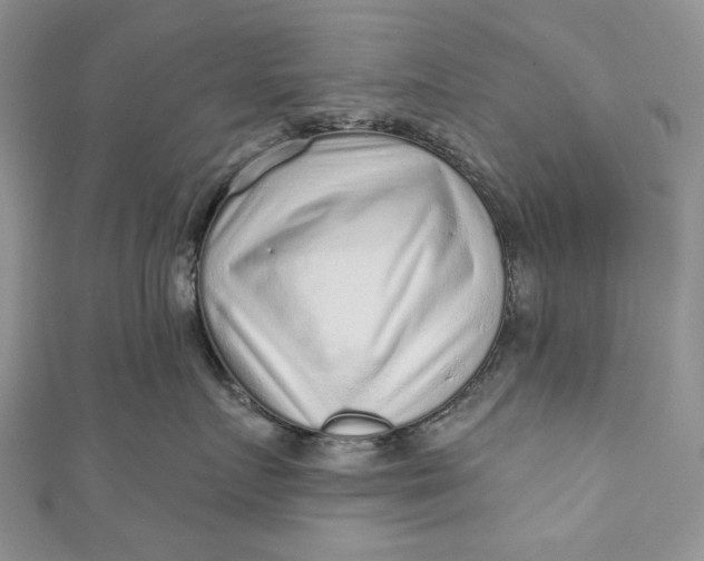 X0000110880719200907021457