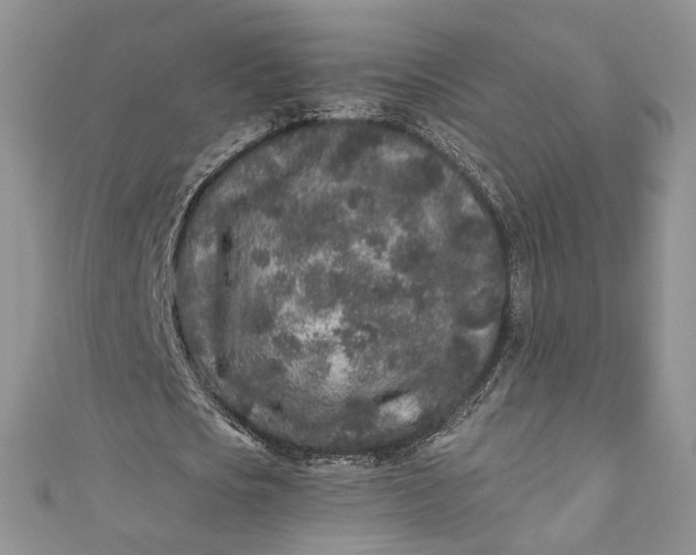 X0000110880721200907021456