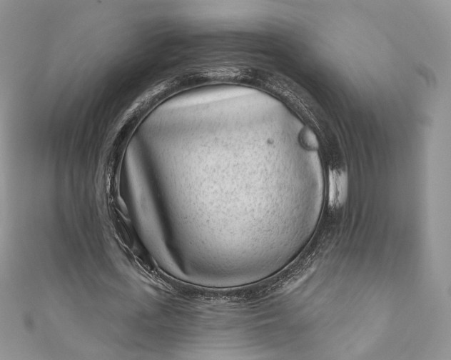 X0000110880723200907021456