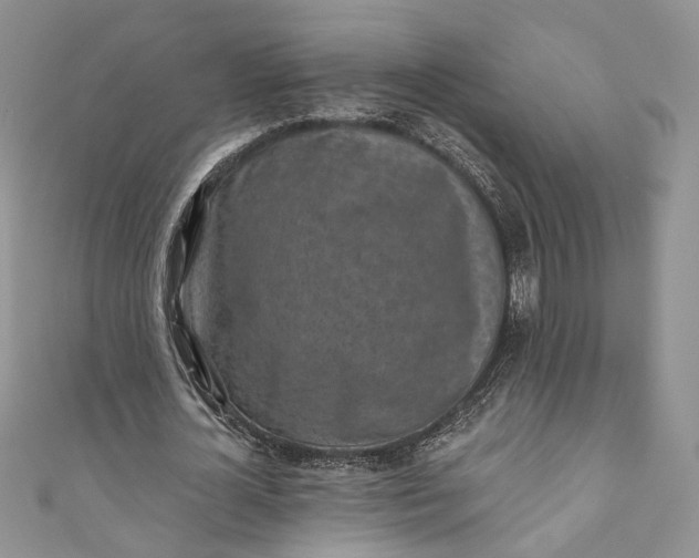 X0000110880724200907021456